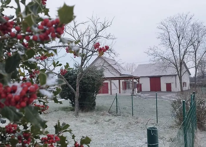 L'ecole Buissonnière * Saligny-sur-Roudon